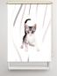 Preview: Rollo Loki vertic Katzenbaby, Rollo, Motivrollo, Rollo mit Druck, Fotorollo, bedrucktes Rollo, Fensterrollo,verdunkelndes Rollo, Sonnenschutz Rollo